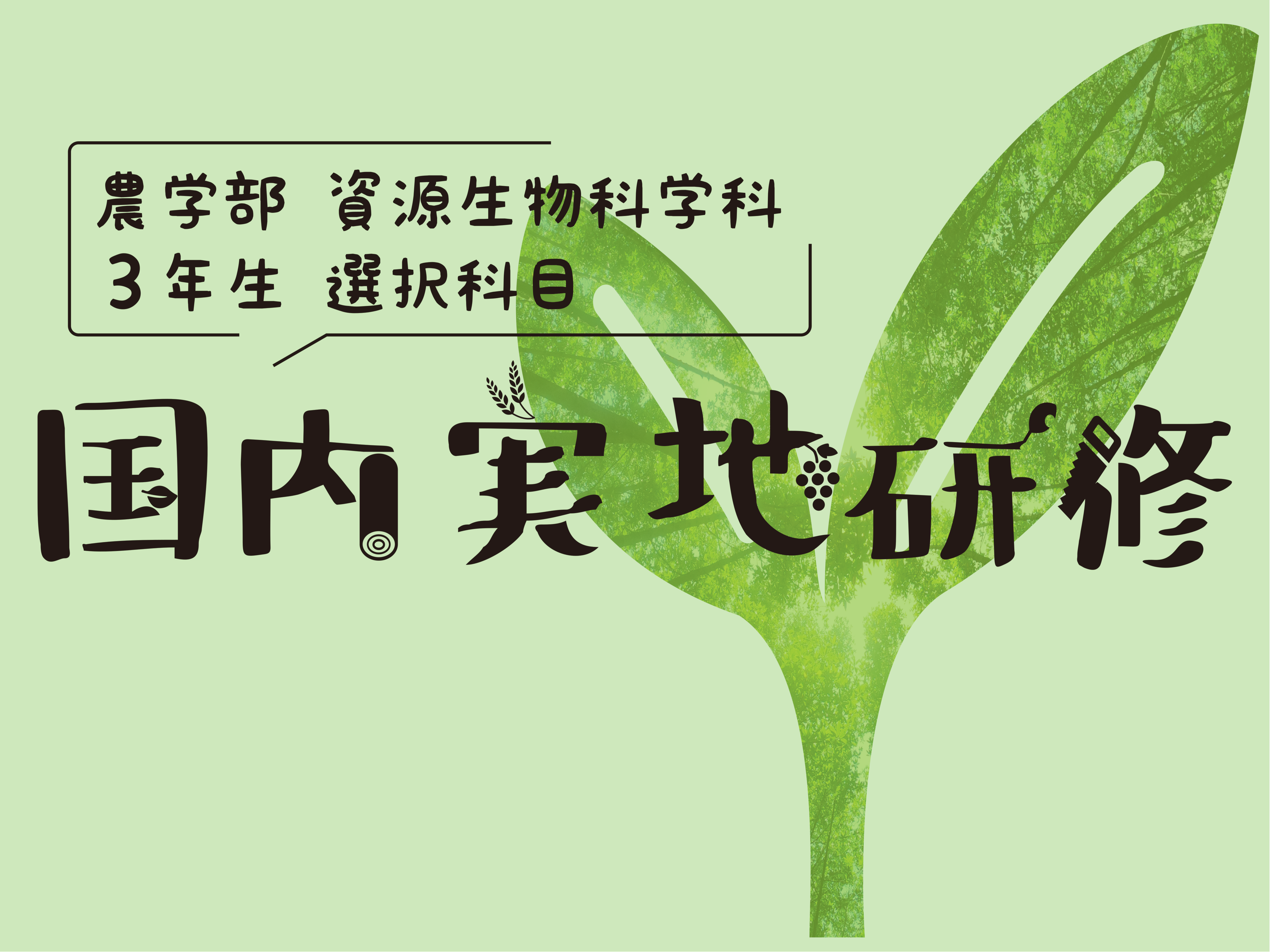農学部実地研修